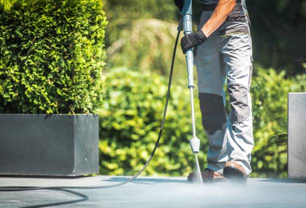 Best Roof Washing  in Brush Prairie, WA