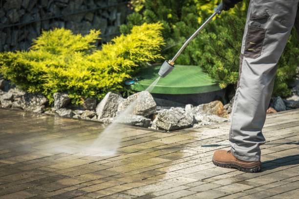 Animal Enclosure Cleaning in Brush Prairie, WA