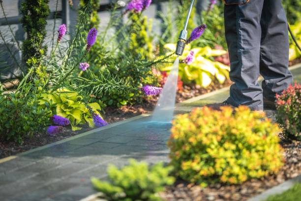 Best Dumpster Area Cleaning  in Brush Prairie, WA