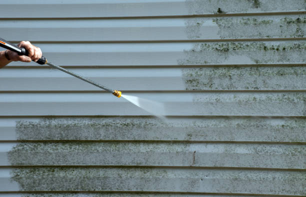 Best Patio and Deck Pressure Washing  in Brush Prairie, WA